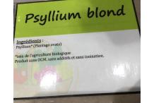 PSYLLIUM TEGUMENTS