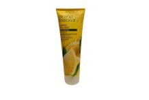SHAMPOING CITRON TEA TREE