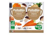POTABIO CHAMPIGNONS