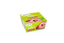 SOJADE FRUIT ROUGE 4X100G