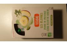 GOURDE POMME COING FLEUR DE SUREAU