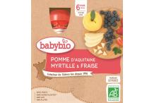 GOURDE POMME MYRTILLE FRAISE