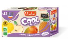 COOL FRUITS POMME MANGUE ANANAS X12
