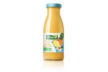 SMOOTHIE DETOX ANANAS GINGEMBRE 25CL