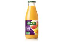 JUS MANGUE BANANE 75CL