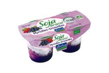 SOJA BRASSE MYRTILLE GROSEILLES 2X125G