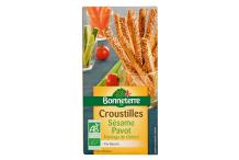 CROUSTILLES AUX GRAINES