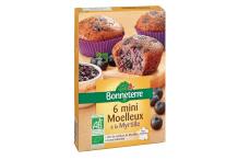 MOELLEUX A LA MYRTILLE X6