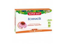 ECHINACEE DEFENSES NATURELLES
