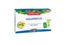 MILLEPERTUIS AMP,