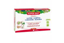 QUATUOR CORIANDE CARDIO AMP