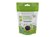 TOURNESOL A GERMER