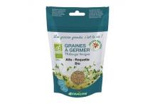 ALFALFA ET ROQUETTE A GERMER