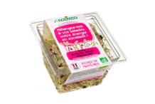 GRAINES GERMEES ALFAFA RADIS FENOUIL