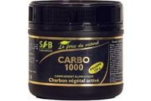 CHARBON VEGETAL CARBO 1000 POUDRE