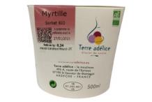 SORBET MYRTILLE SAUVAGE