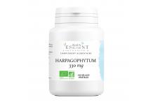 HARPAGOPHYTUM 100 GELULES