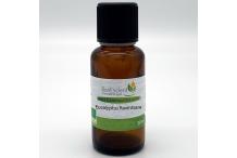 RAVINTSARA 30ML HE BONESCIENT