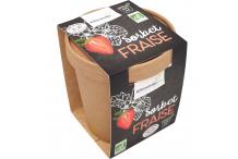 SORBET FRAISE59318 KILIMANDJABIO