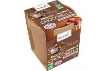 GLACE CHOCOBELLA ET NOISETTES CARAMELISE