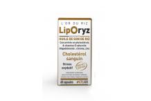 LIPORYZ 60CPS