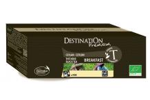 THE NOIR BREAKFAST X100 INFUSETTES