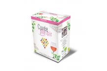 BIB 3L ROSE CUVEE PLAISIR