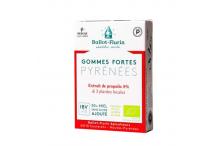 GOMMES FORTES PYRENEES PROPOLIS
