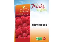 FRAMBOISES SURGELEES