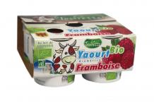YAOURT FRAMBOISE