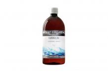 ARGENT COLLOIDAL 20PP 1L
