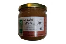 MIEL DE FLEURS DE CHATAIGNE DE VOLVIC 50