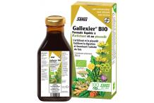 GALLEXIER ARTI/PISSENL/BIO
