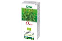 SUC D'ORTIE BIO