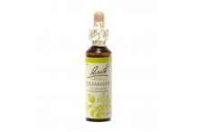 CLEMATIS 20 ML