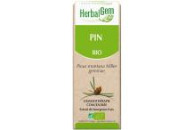 PIN DES MONTAGNES BIO 50ML