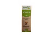 NOISETIER 50ML