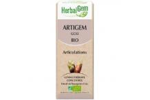 ARTIGEM 15ML