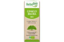 GINGKO 15ML