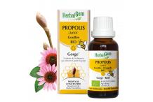PROPOLIS EXT GOUTTES JUNIOR 15ML