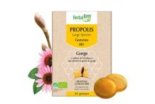 PROPOLIS 24 GOMMES