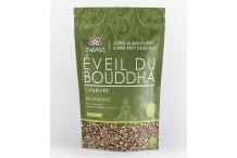 L'EVEIL DU BOUDDHA CHANVRE