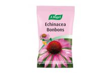 BONBON ECHINACEA