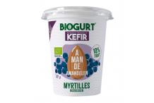 BIOGURT KEFIR AMANDE MYRTILLES