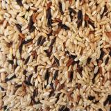 TRIO DE RIZ DE CAMARGUE