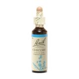 CHICORY  20 ML