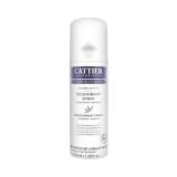 DEO BRUME ACTIVE