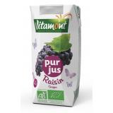 JUS DE RAISIN ROUGE TETRA 20 CL