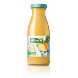 SMOOTHIE DETOX ANANAS GINGEMBRE 25CL