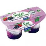 SOJA BRASSE MYRTILLE GROSEILLES 2X125G
